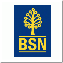 Bank-Simpanan-Nasional